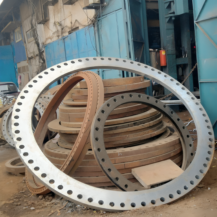 MS Flange Manufacturer in India